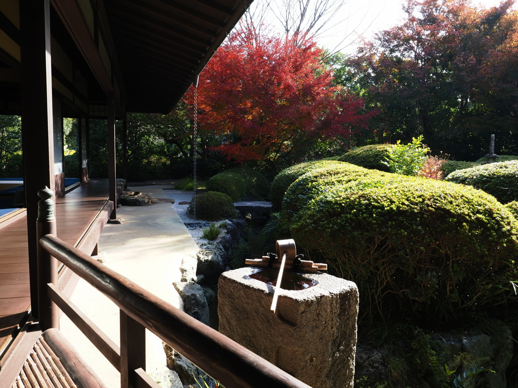 京都風情タップリ丈山苑＃７