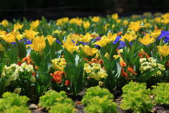 春爛漫のデンパーク安城＃１０