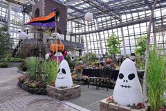 ハッピーハロウィン＃２