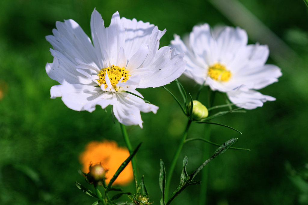 久し振りにJERAパークへ＃３