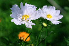 久し振りにJERAパークへ#3