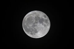 今夜31日のお月さん