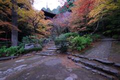 金剛輪寺の紅葉＃８