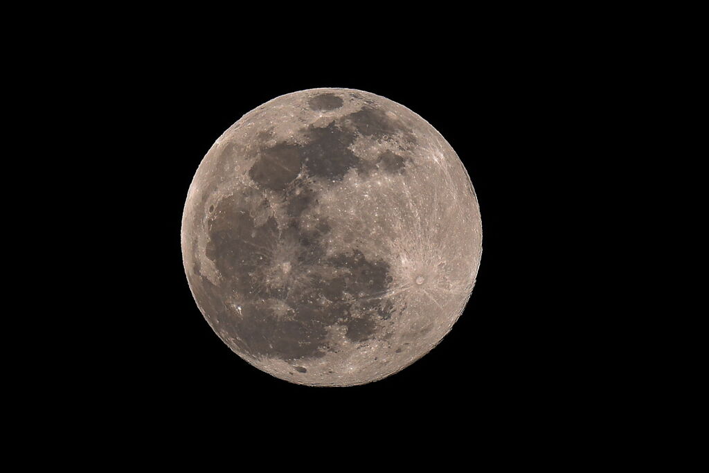 昨夜のお月さん