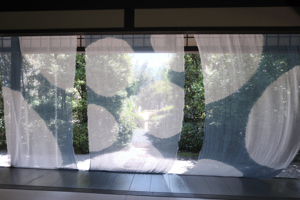 新緑が眩しい丈山苑＃５