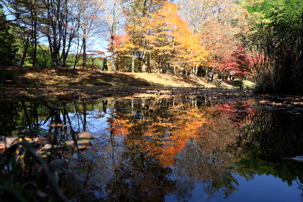 静けさ漂うタカドヤ湿地の紅葉＃１