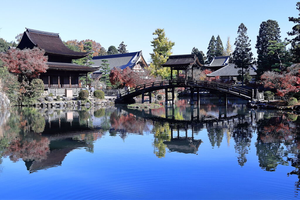 久々の永保寺・紅葉撮影＃７