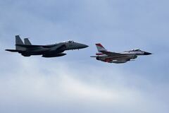 大編隊・機動飛行#4