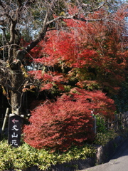 京都風情タップリ丈山苑#1