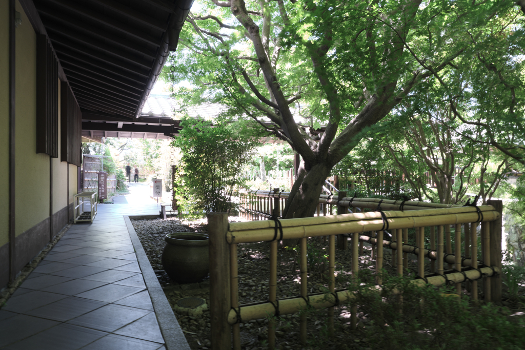 新緑眩しい丈山苑（Part2）＃６