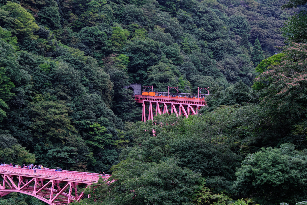 黒部渓谷トロッコ電車乗車＃３