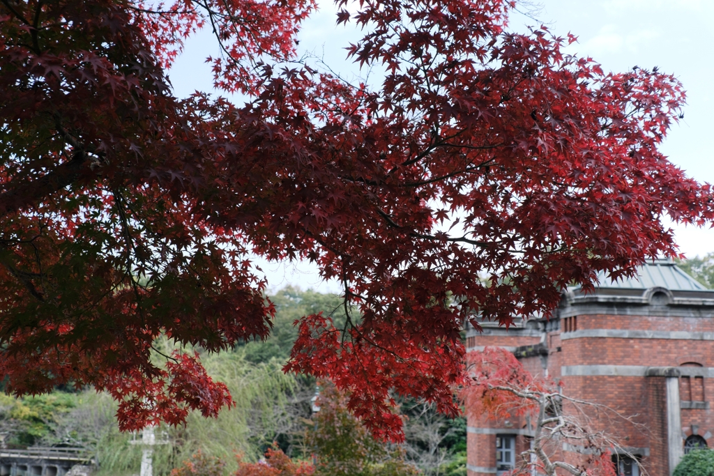 博物館・明治村場内の紅葉＃９