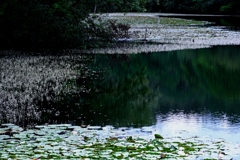 岡崎の大正池こと小呂池#3