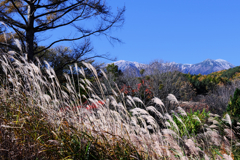 御嶽山が薄っすら雪化粧＃８