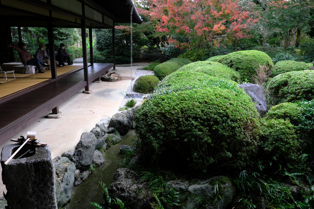 秋深し丈山苑も秋本番＃５