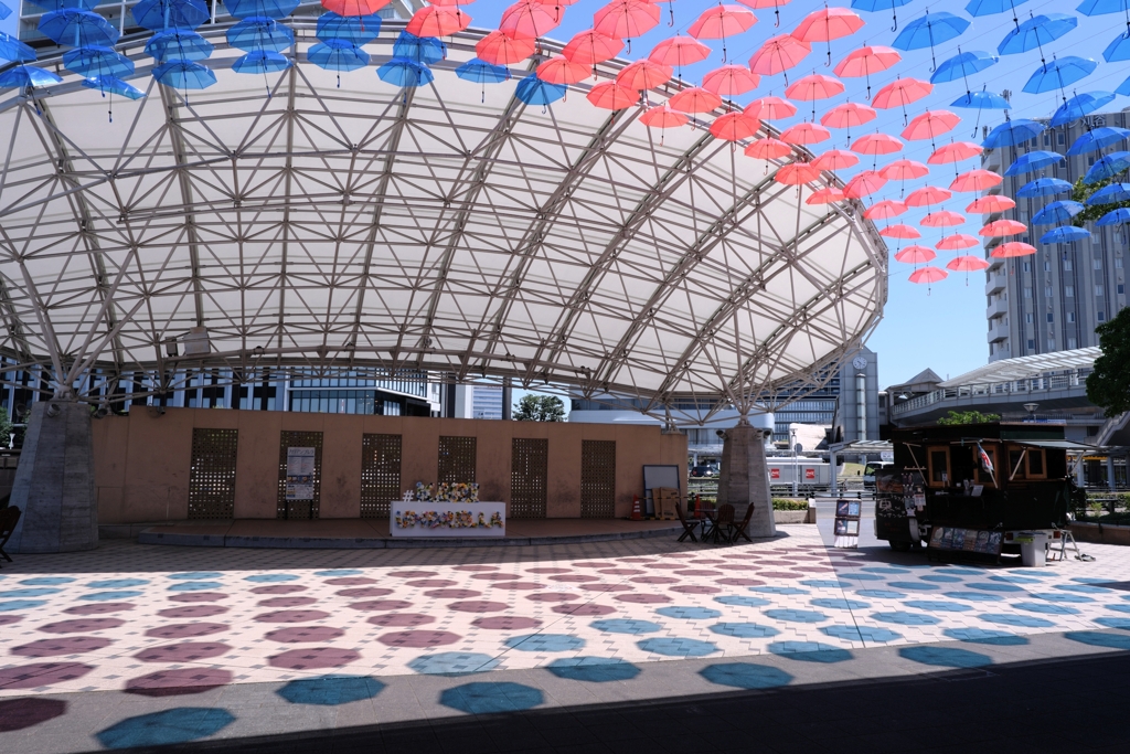 ２年振りのカリアンブレラ＃１