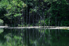 岡崎の大正池こと小呂池#7