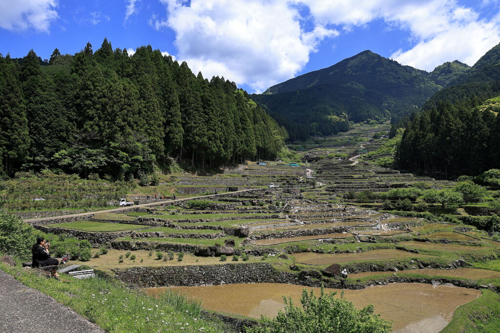 新城市・四谷千枚田棚田＃２