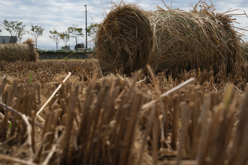 安城市で見掛けたわらロールのある情景＃３
