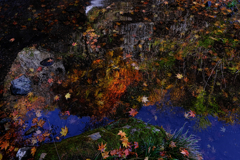 木曽町唐沢の滝・紅葉撮影＃６