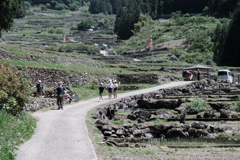 田植え時期の四谷千枚田棚田＃２