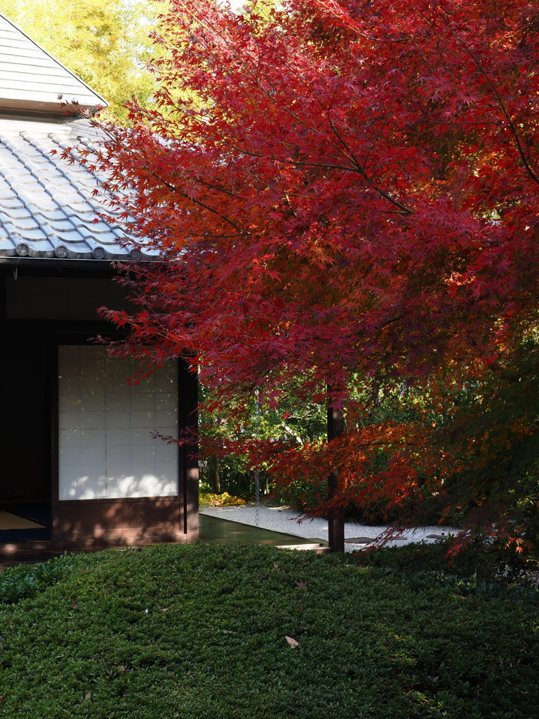 京都風情タップリ丈山苑＃１１