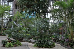 夏至の暑さに負けず・・・・＃２