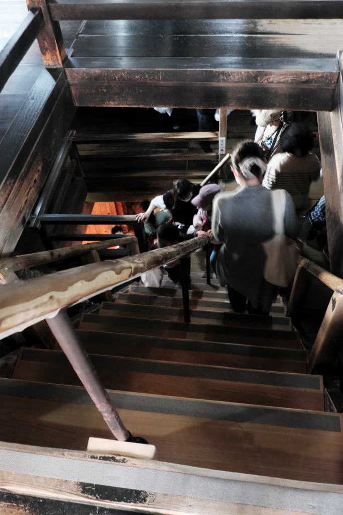 国宝犬山城と満開サクラのコラボ＃４