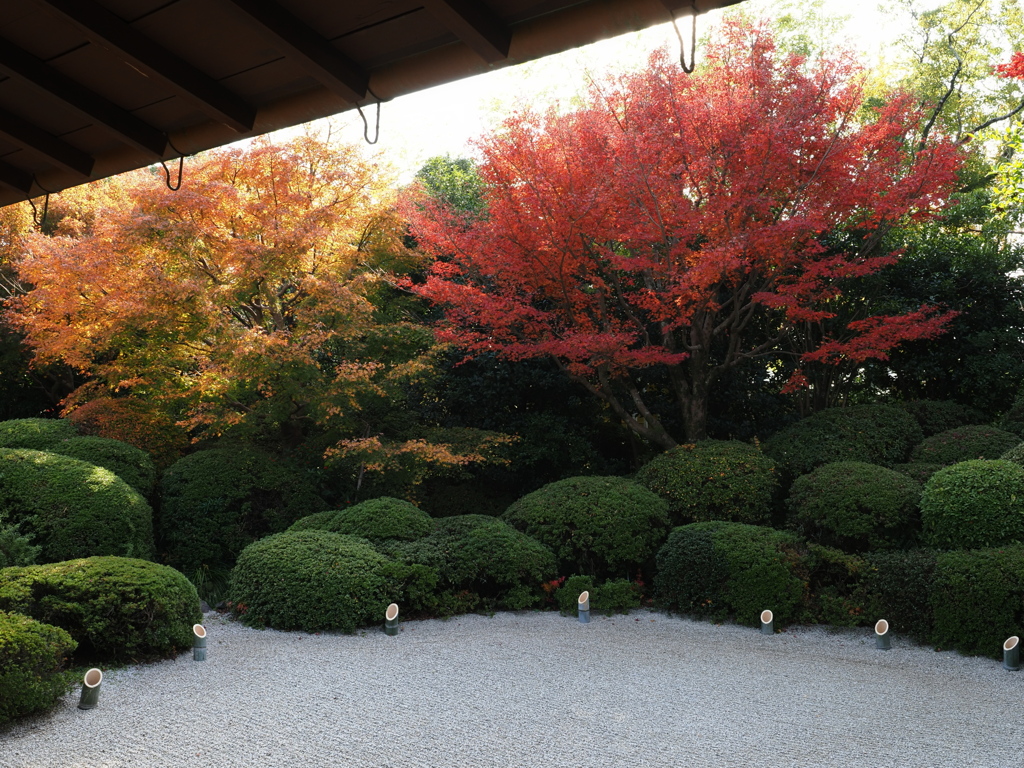 京都風情タップリ丈山苑＃６