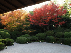 京都風情タップリ丈山苑#6