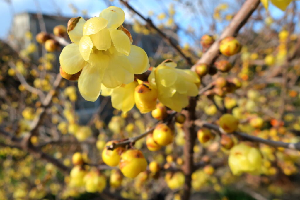 あれから１週間が過ぎ・・・・＃４