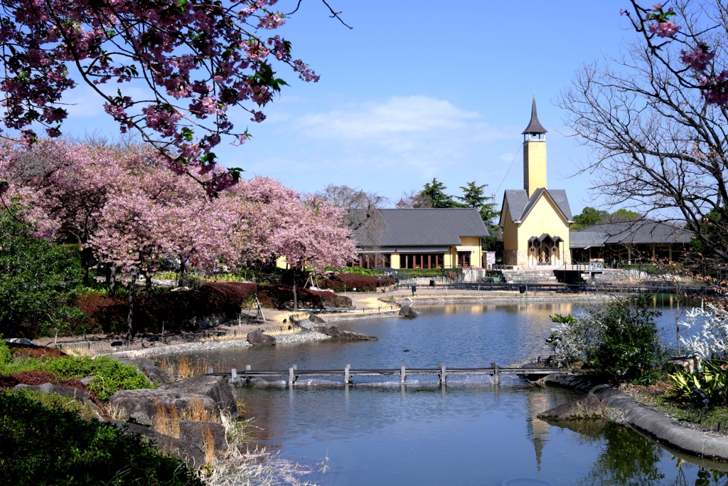 なばなの里・春真っ盛り＃６