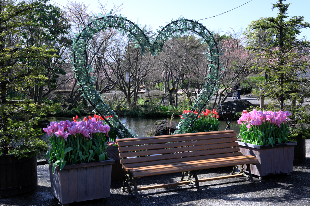 なばなの里チューリップ＃１