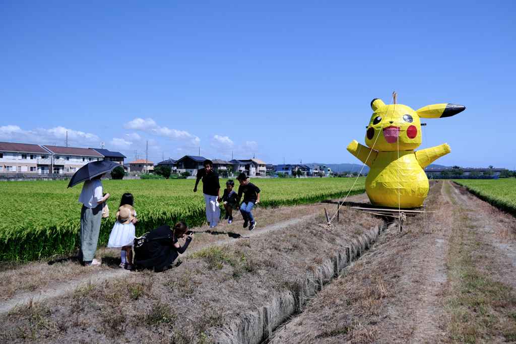 畑の真ん中にピカチュー出現！＃３