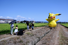 畑の真ん中にピカチュー出現!#3