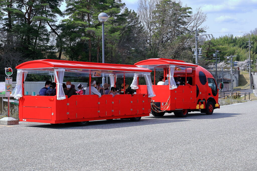 春爛漫の鞍ヶ池公園＃９