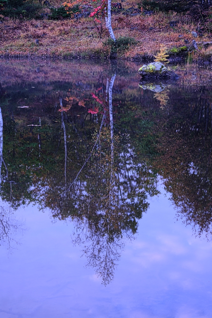 乗鞍高原で紅葉撮影＃８