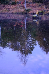 乗鞍高原で紅葉撮影＃８