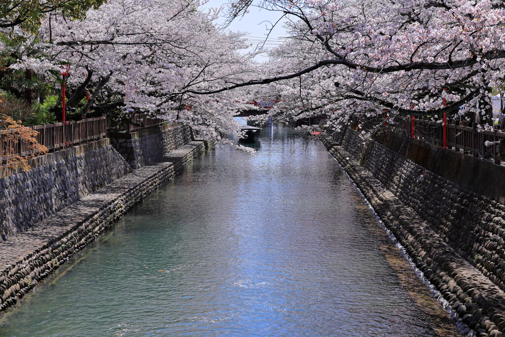 奥の細道むすびの地・大垣＃１０