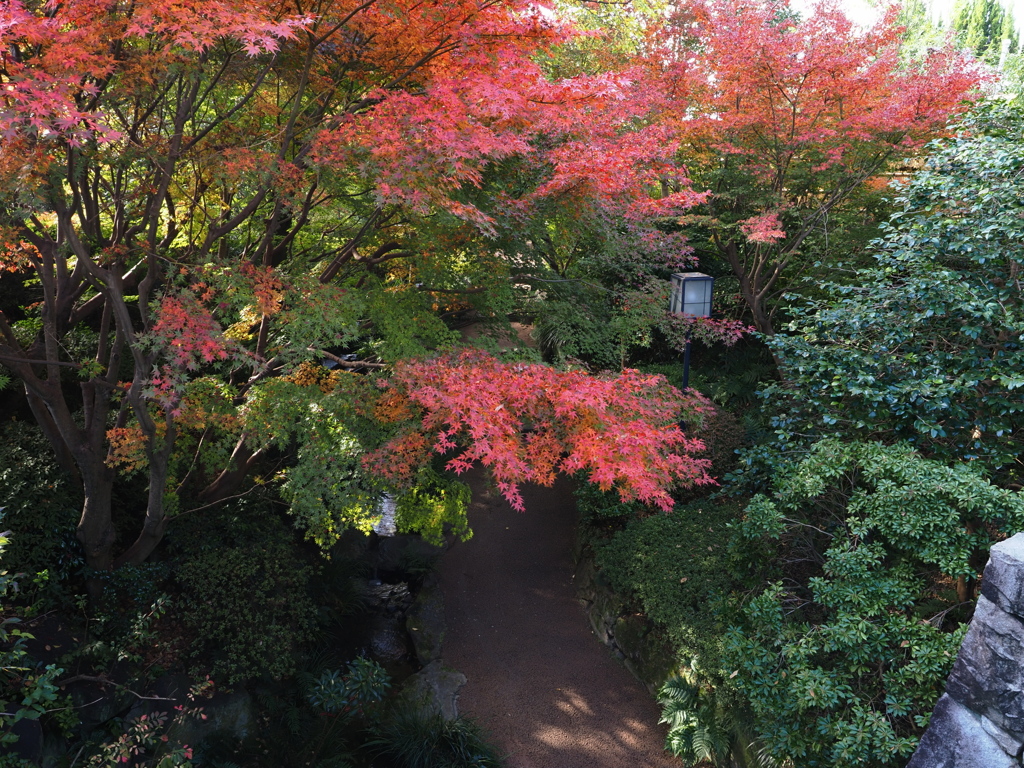 京都風情タップリ丈山苑＃１３