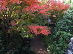 京都風情タップリ丈山苑＃１３