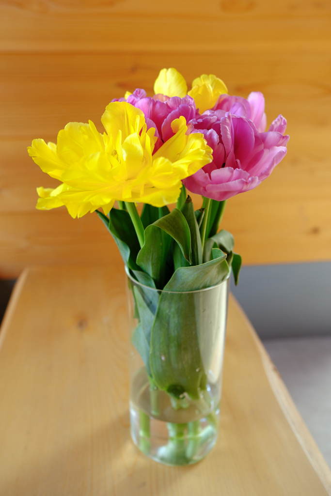 コーヒーショップでテーブルフォト＃４