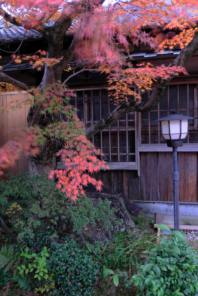 西尾歴史公園＆尚古荘＃７