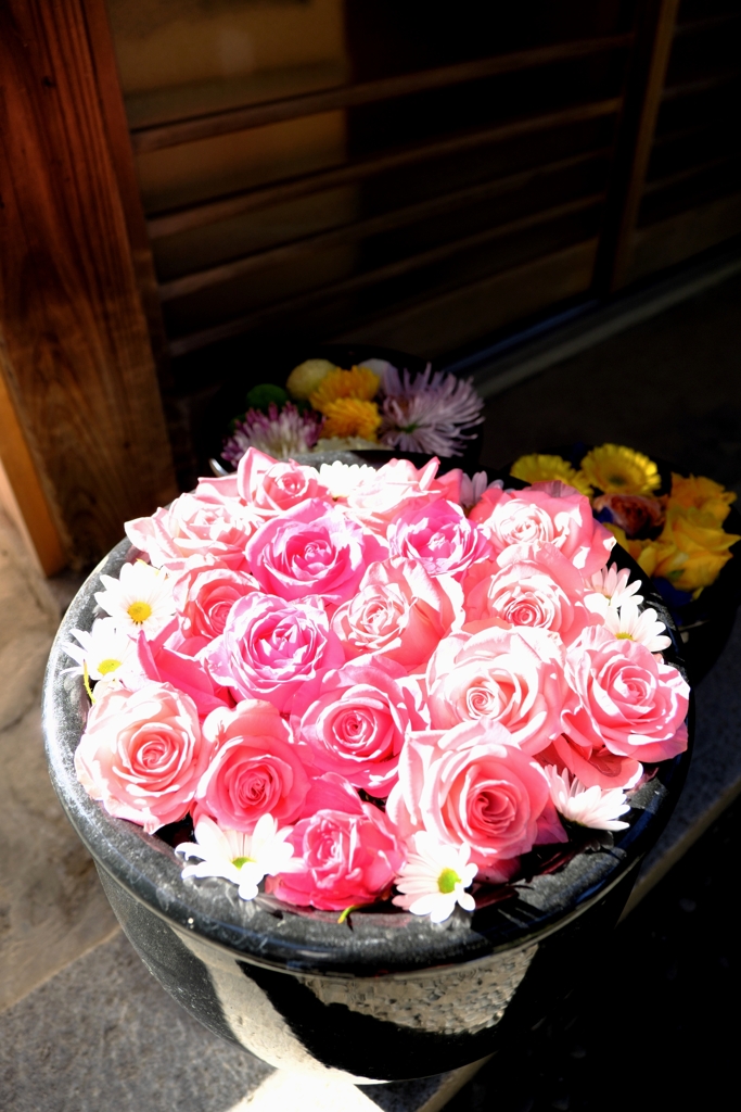 岡崎・菅生神社の花手水＃５