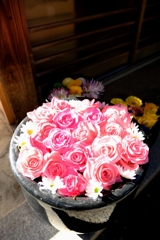 岡崎・菅生神社の花手水#5