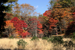 静けさ漂うタカドヤ湿地の紅葉#7