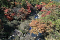 久し振りに大井平公園紅葉撮影＃７