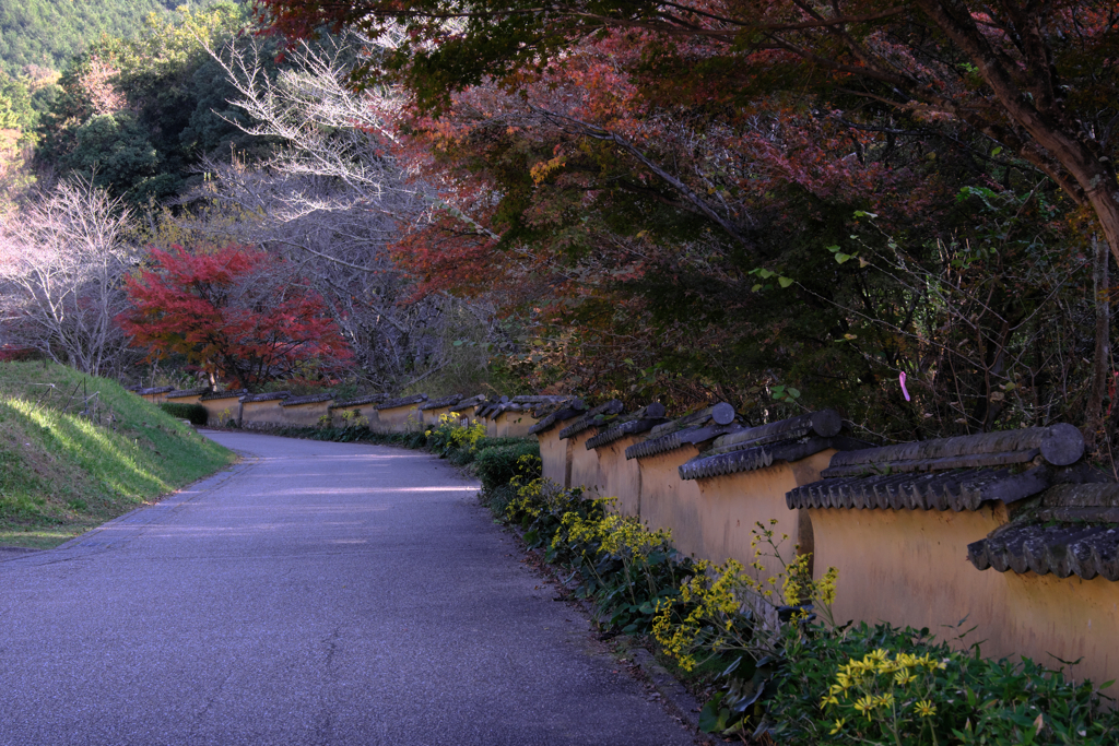 晩秋の紅葉撮影・松平郷＃７