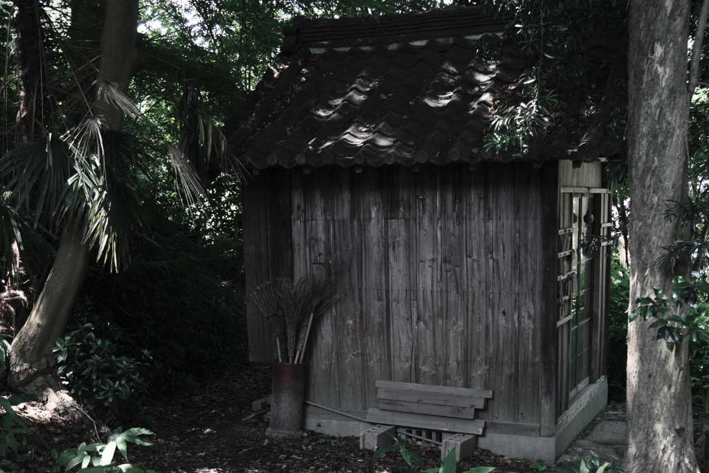 『本光寺』の紫陽花＃４