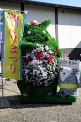 人形小路の菊まつり#10